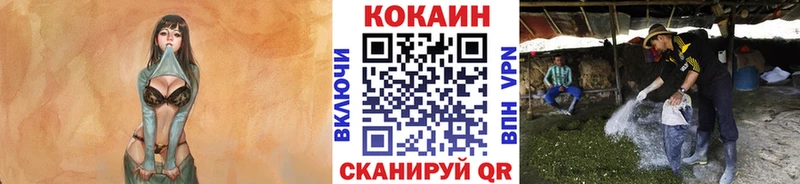 наркота Пучеж omg tor COCAIN Боливия