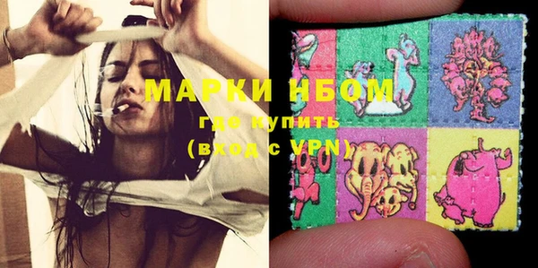 PSILOCYBIN Алзамай