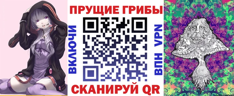 наркота  OMG зеркало  Псилоцибиновые грибы Psilocybine cubensis  Пучеж 
